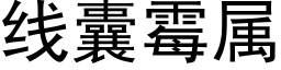 线囊霉属 (黑体矢量字库)