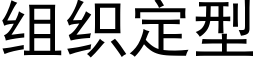 组织定型 (黑体矢量字库)