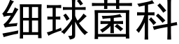 細球菌科 (黑體矢量字庫)