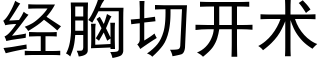 經胸切開術 (黑體矢量字庫)