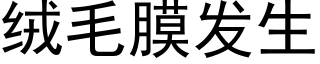 絨毛膜發生 (黑體矢量字庫)