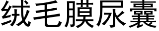 絨毛膜尿囊 (黑體矢量字庫)