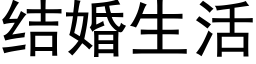 結婚生活 (黑體矢量字庫)