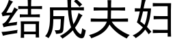 結成夫婦 (黑體矢量字庫)