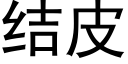 結皮 (黑體矢量字庫)