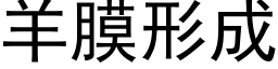 羊膜形成 (黑体矢量字库)