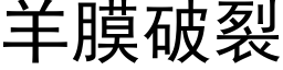 羊膜破裂 (黑体矢量字库)