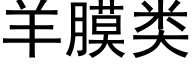 羊膜类 (黑体矢量字库)