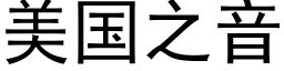 美国之音 (黑体矢量字库)