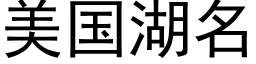 美国湖名 (黑体矢量字库)