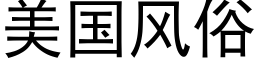 美国风俗 (黑体矢量字库)