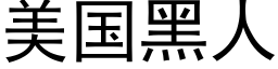 美国黑人 (黑体矢量字库)