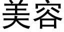 美容 (黑體矢量字庫)