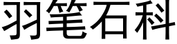 羽筆石科 (黑體矢量字庫)