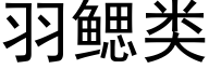 羽鳃类 (黑体矢量字库)