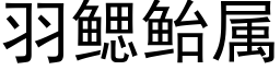 羽鰓鲐屬 (黑體矢量字庫)