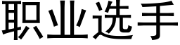 职业选手 (黑体矢量字库)