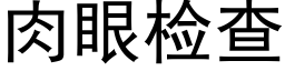 肉眼检查 (黑体矢量字库)