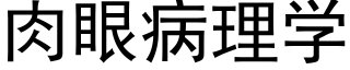 肉眼病理学 (黑体矢量字库)