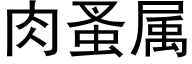 肉蚤属 (黑体矢量字库)