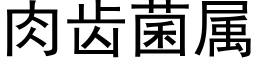 肉齿菌属 (黑体矢量字库)