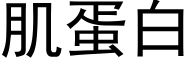 肌蛋白 (黑体矢量字库)