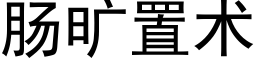 腸曠置術 (黑體矢量字庫)