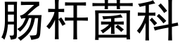 腸杆菌科 (黑體矢量字庫)