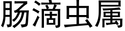 腸滴蟲屬 (黑體矢量字庫)