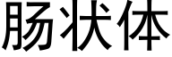 腸狀體 (黑體矢量字庫)
