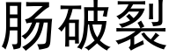 肠破裂 (黑体矢量字库)