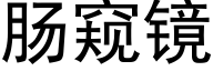 肠窥镜 (黑体矢量字库)