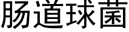 肠道球菌 (黑体矢量字库)