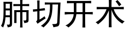 肺切開術 (黑體矢量字庫)