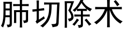 肺切除術 (黑體矢量字庫)