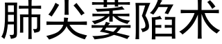 肺尖萎陷術 (黑體矢量字庫)