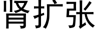 肾扩张 (黑体矢量字库)