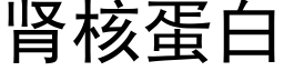 肾核蛋白 (黑体矢量字库)