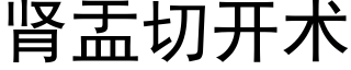 腎盂切開術 (黑體矢量字庫)