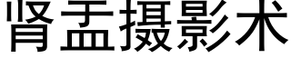 腎盂攝影術 (黑體矢量字庫)