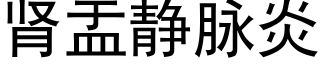 腎盂靜脈炎 (黑體矢量字庫)