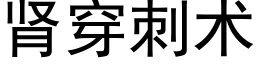 腎穿刺術 (黑體矢量字庫)