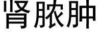 肾脓肿 (黑体矢量字库)