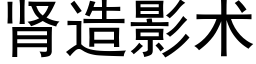 腎造影術 (黑體矢量字庫)