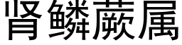 腎鱗蕨屬 (黑體矢量字庫)