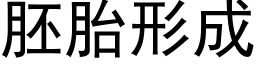 胚胎形成 (黑体矢量字库)