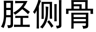 胫侧骨 (黑体矢量字库)