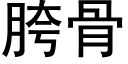胯骨 (黑體矢量字庫)