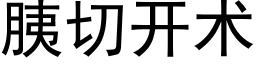 胰切開術 (黑體矢量字庫)