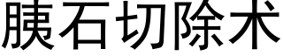 胰石切除术 (黑体矢量字库)